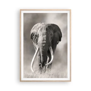 Plakat i ramme af lyst egetræ - Afrikansk patriark - 70x100 cm
