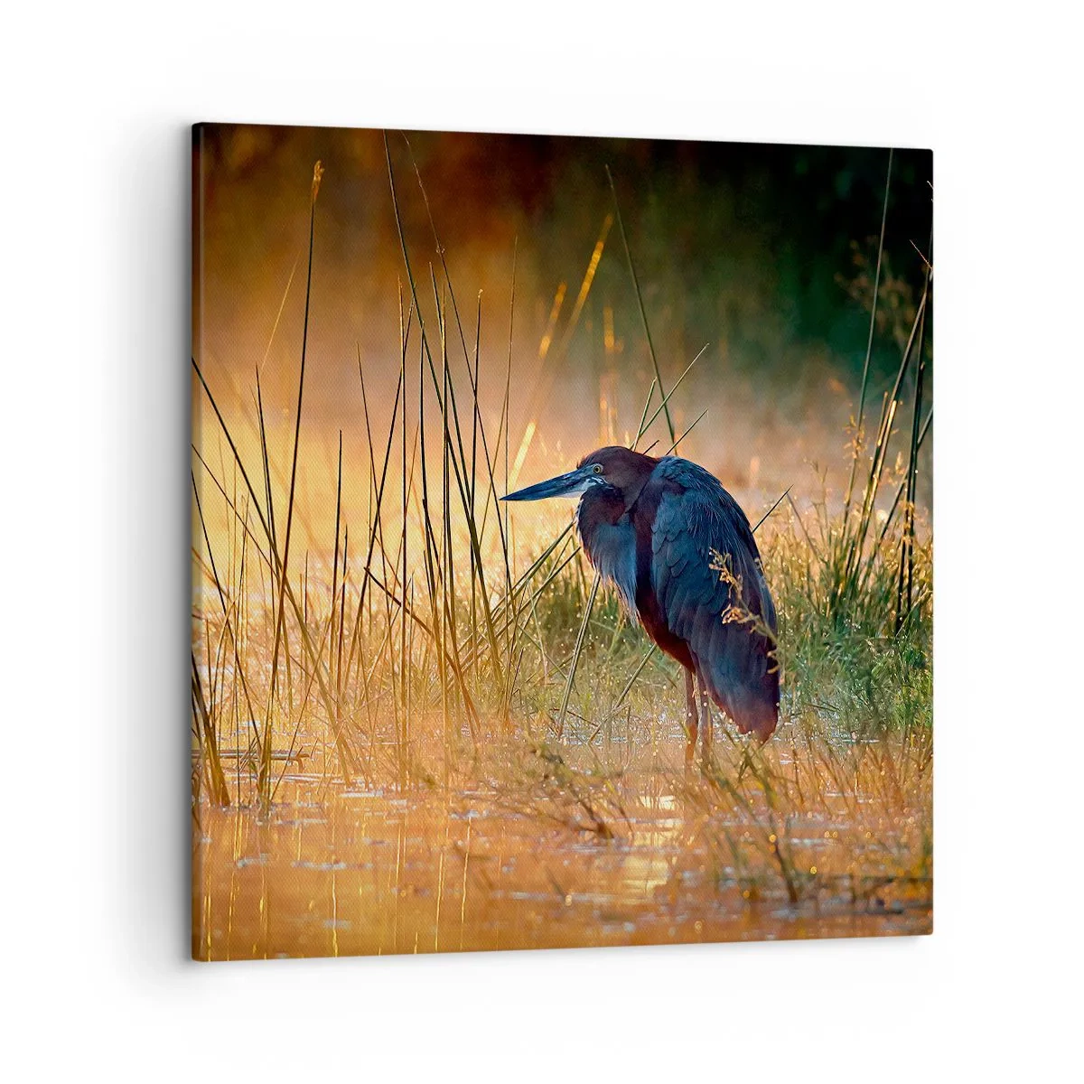 Lærredstryk - Billede på lærred - Giv mig en chance med disse billeder - 50x50 cm