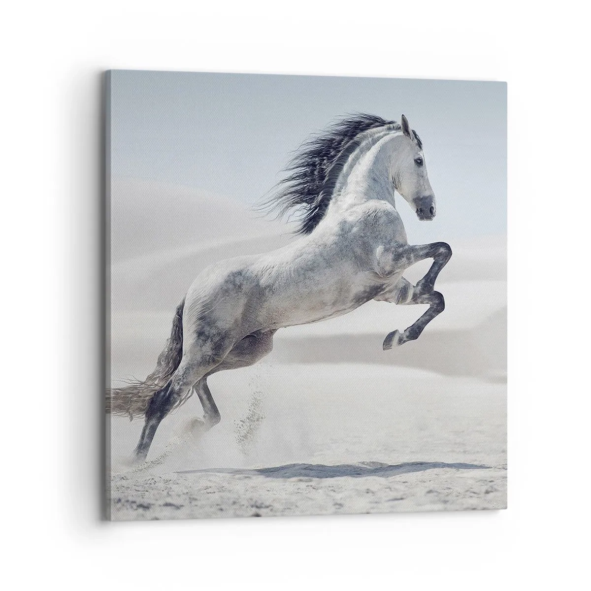 Lærredstryk - Billede på lærred - Arabisk prins - 70x70 cm