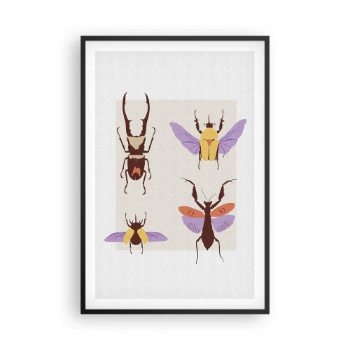 Plakat i sort ramme - Insekternes verden - 61x91 cm