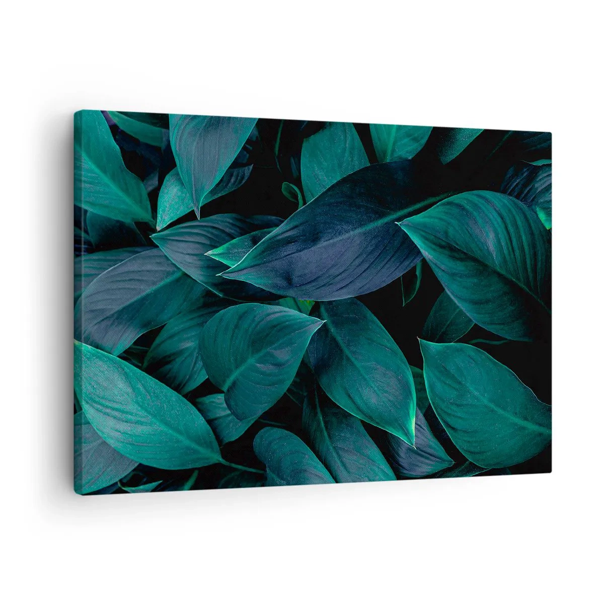 Lærredstryk - Billede på lærred - Nærbillede af grønne blade med en mørk baggrund - 70x50cm - Grønt i sig selv - Moderne vægdekoration til stue og soveværelse ARTTOR