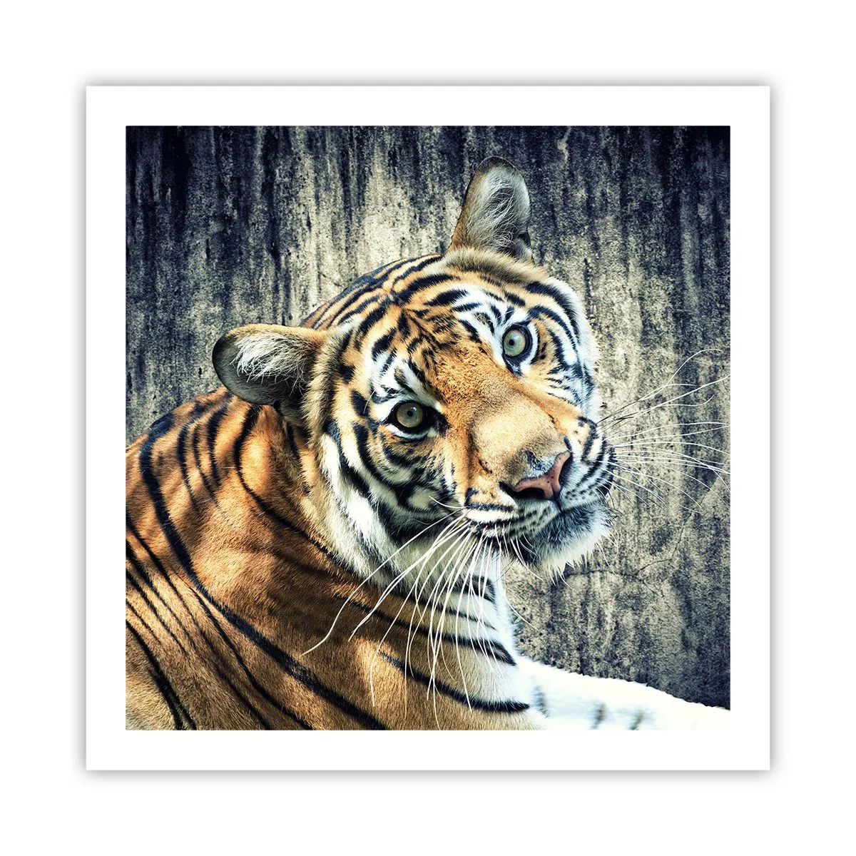 Plakat - Portræt i lysstrømme - 60x60 cm