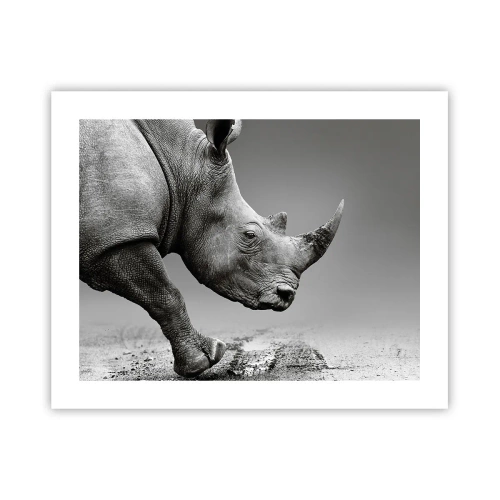 Plakat - En ustoppeli - 50x40 cm