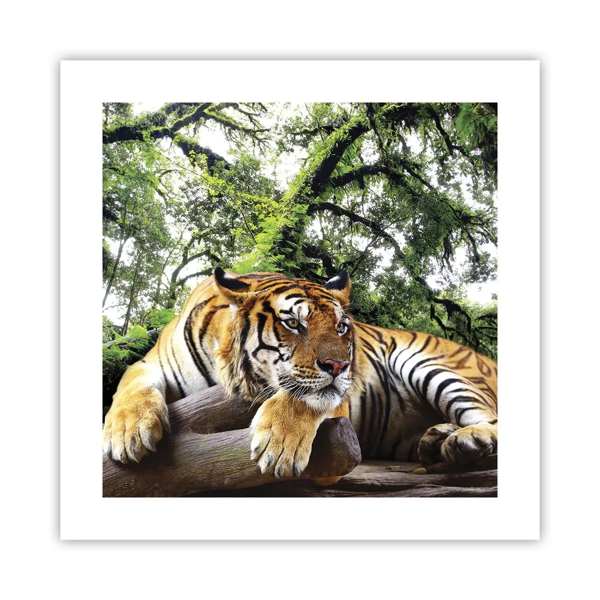 Plakat - Med venlig hilsen - 40x40 cm