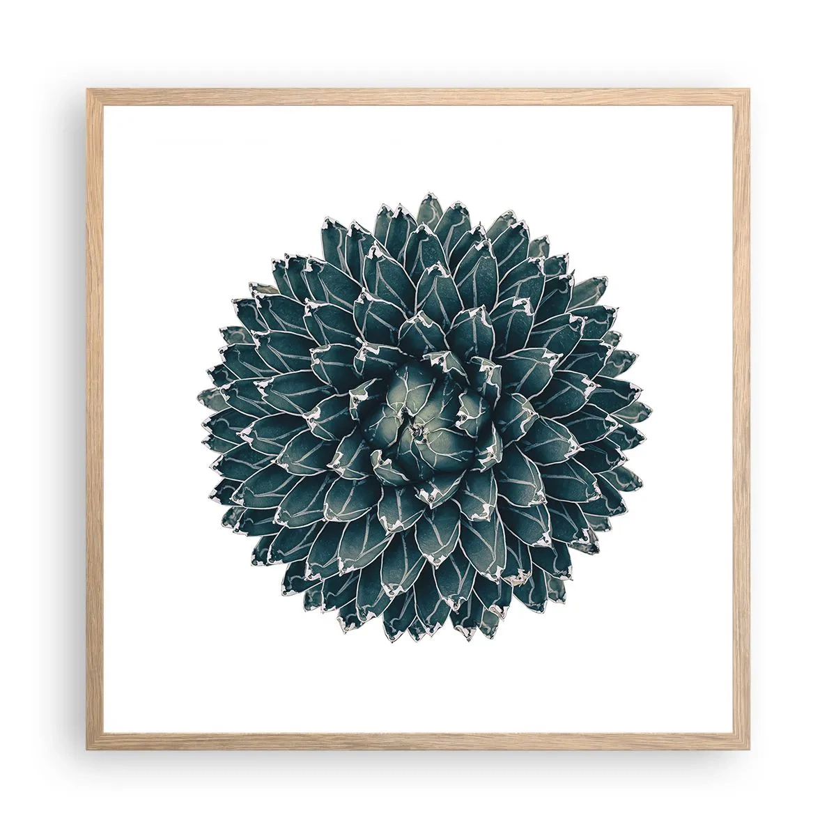 Plakat i ramme af lyst egetræ - Ørkenstjerne - 60x60 cm