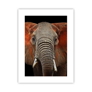 Plakat - Jeg er vild, er du? - 30x40 cm