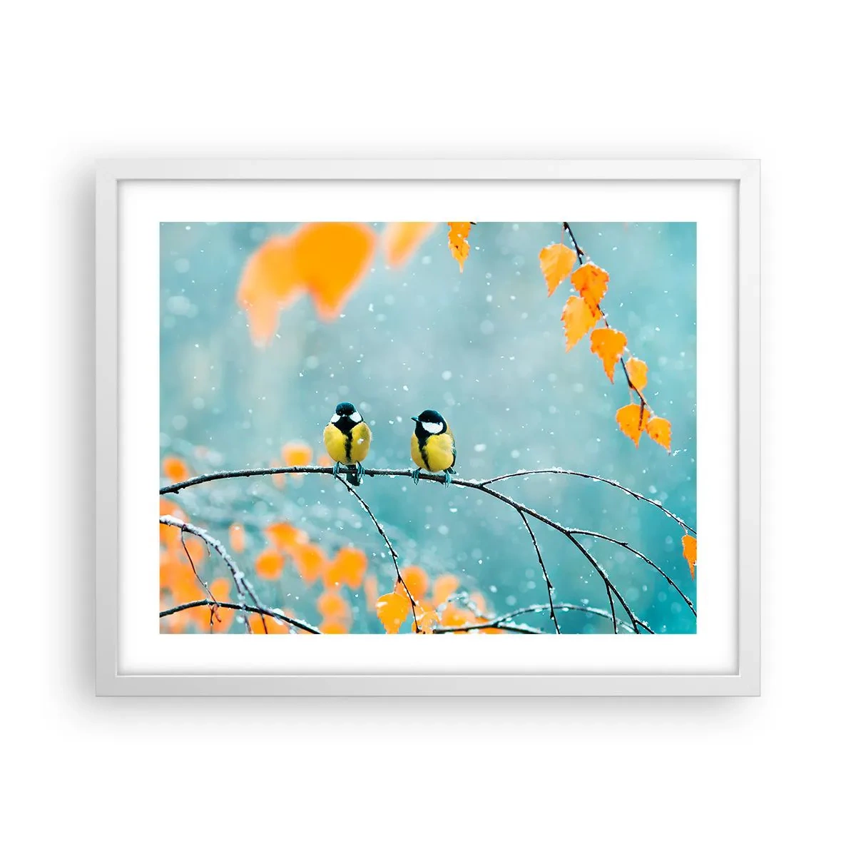 Plakat i hvid ramme - Sladder om fugle - 50x40 cm