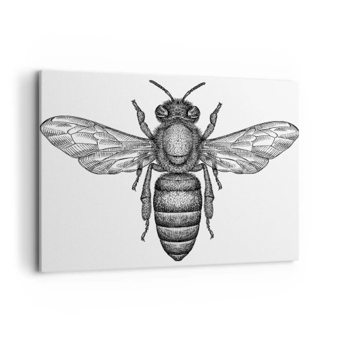 Lærredstryk - Billede på lærred - Portræt af et insekt - 100x70 cm