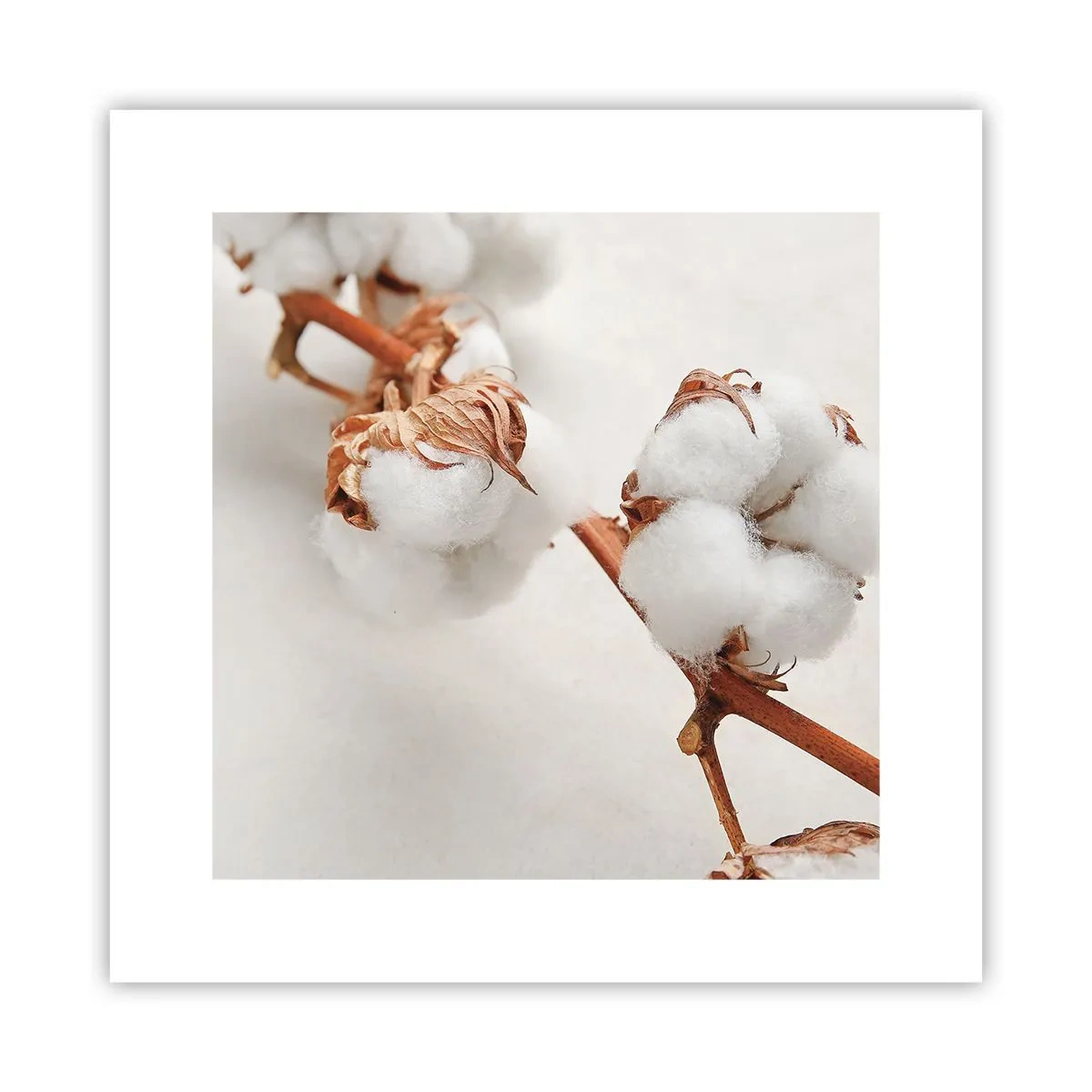 Plakat - Bare kramme - 30x30 cm