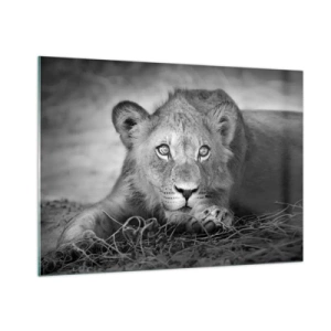 Billede på glas - Kongelig hvalp - 100x70 cm