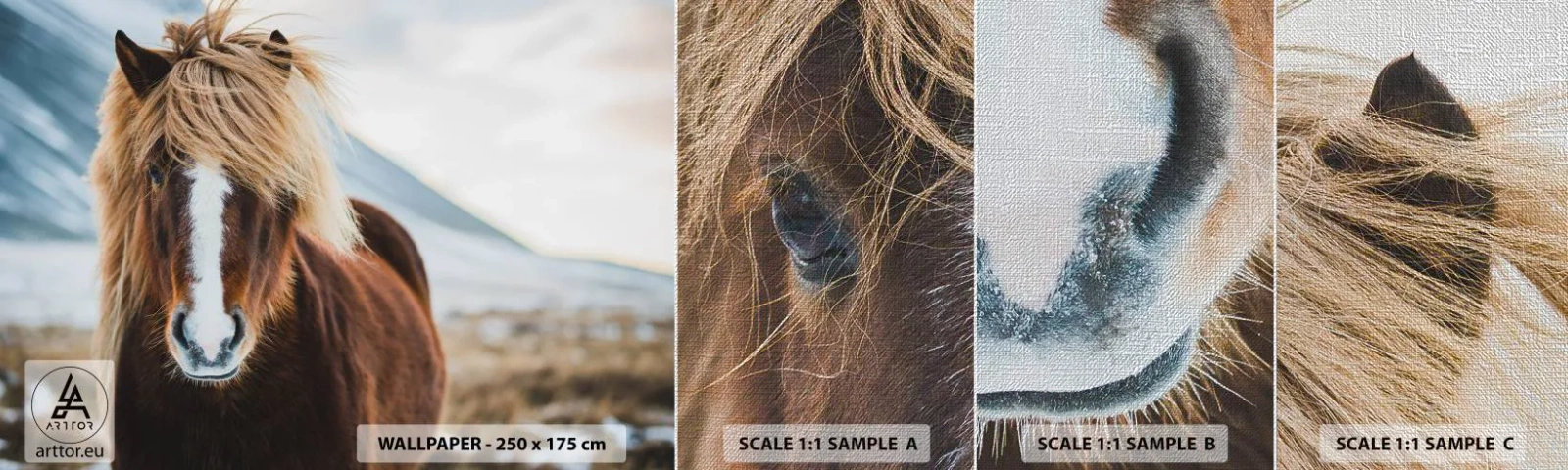 Prøve Fototapet Premium Canvas - Kan du mærke friheden? - Hest, Natur, Dyr - 100x30 cm