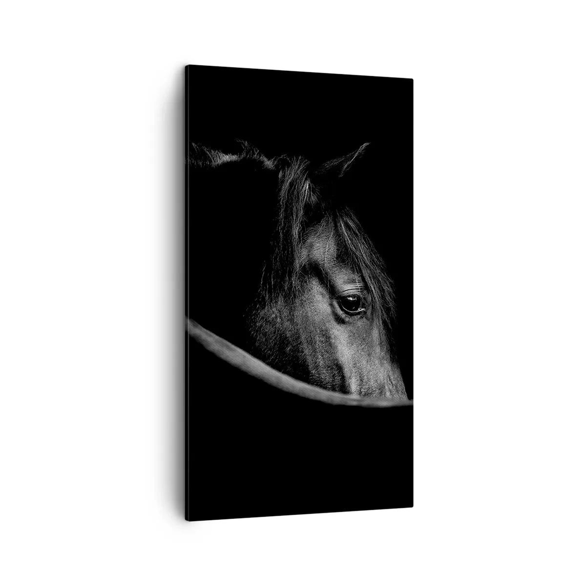 Lærredstryk - Billede på lærred - Sort prins - 45x80 cm