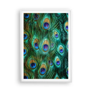 Plakat i hvid ramme - En påfugls blik - 70x100 cm