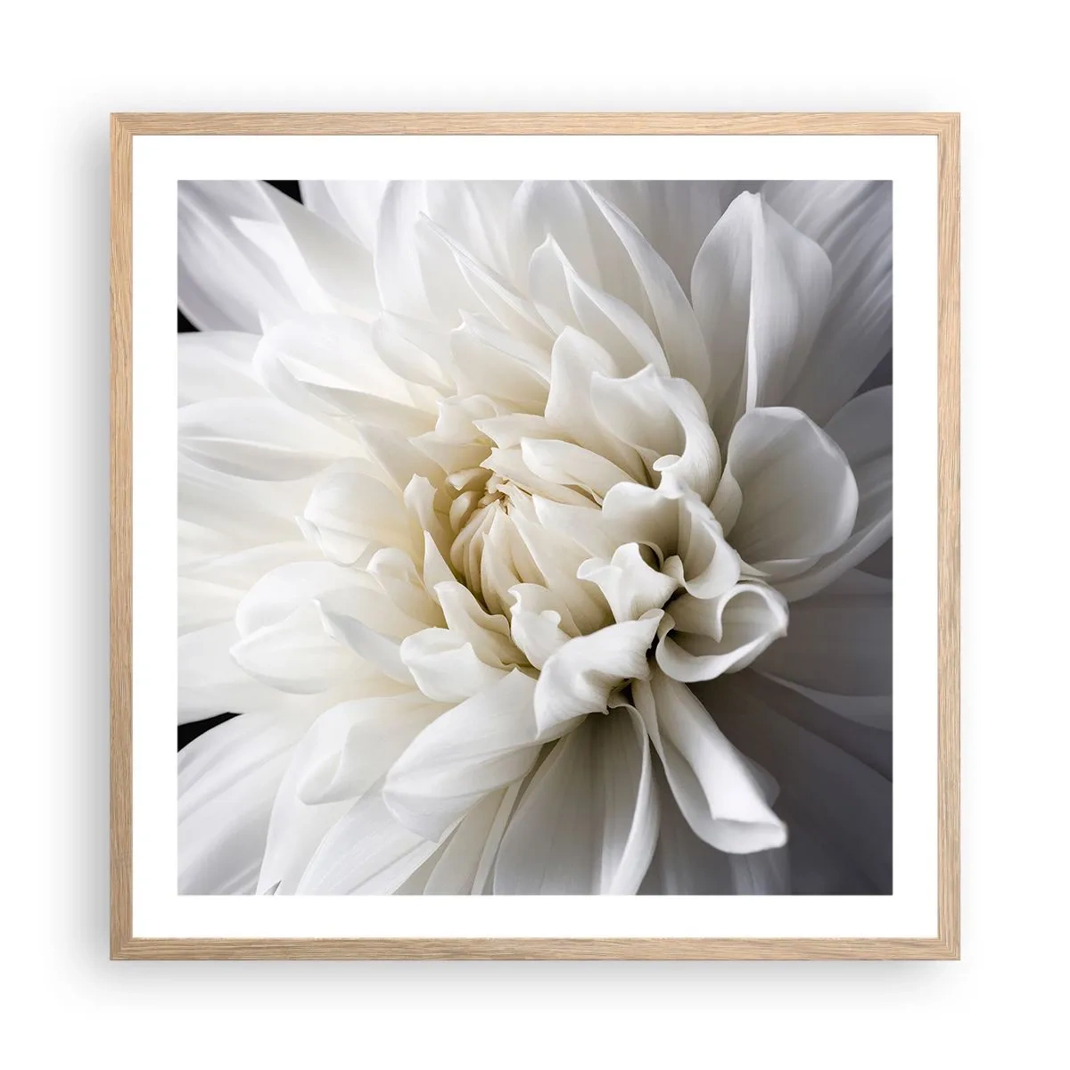 Plakat i ramme af lyst egetræ - Morgenbrud - 60x60 cm
