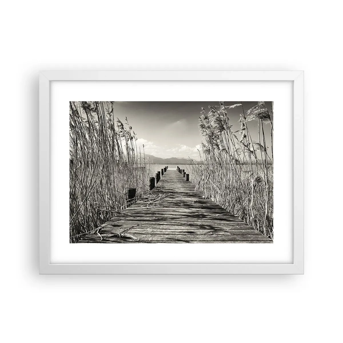 Plakat i hvid ramme - I græssernes fred - 40x30 cm