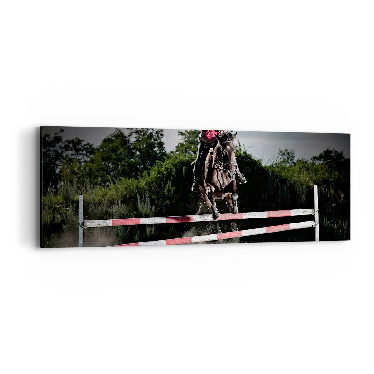 Lærredstryk - Billede på lærred - Sammen om sejren - 90x30 cm