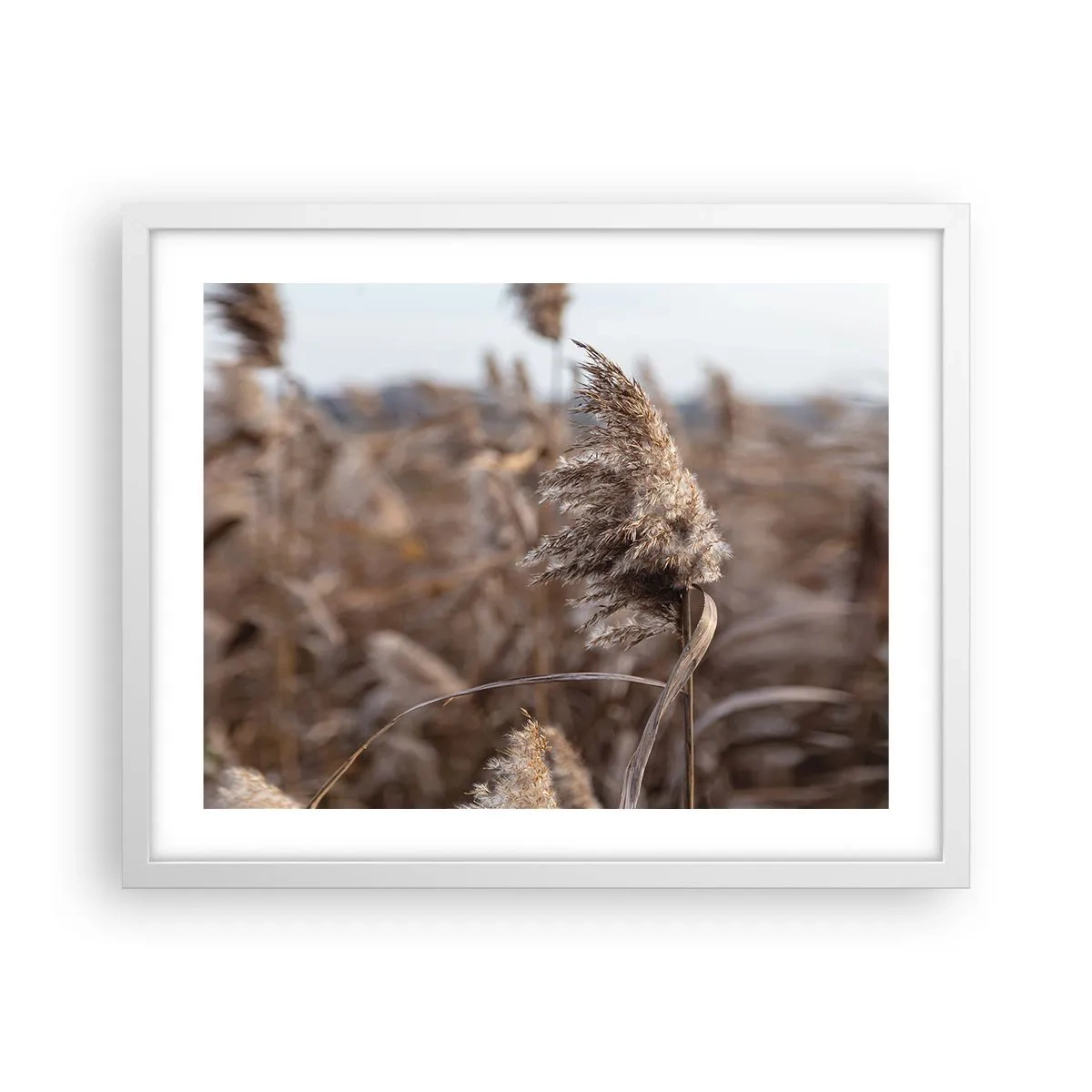 Plakat i hvid ramme - Tid til at flyve væk med vinden - 50x40 cm