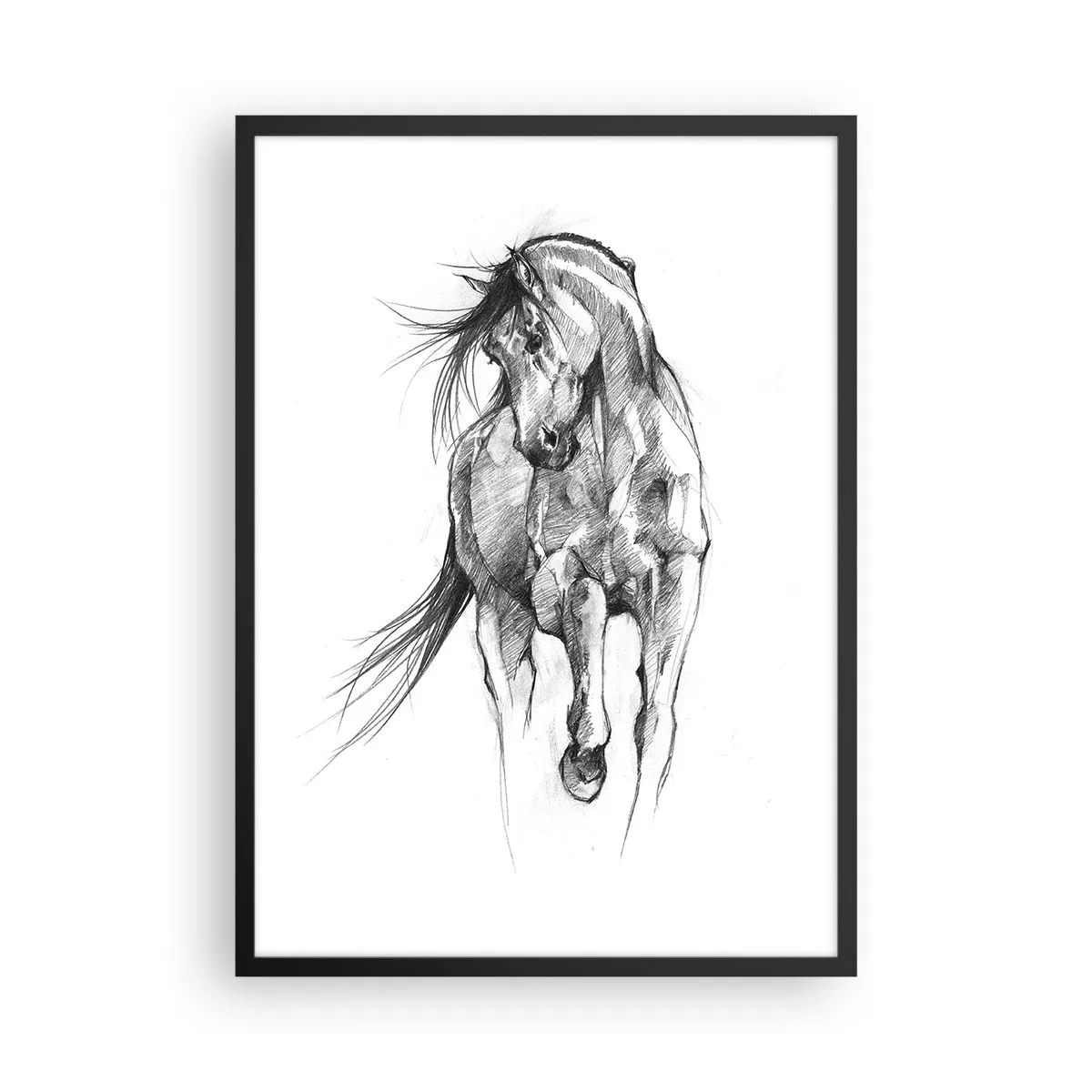 Plakat i sort ramme - Skitse af en hest i en dynamisk positur - 50x70cm - I en yndefuld trav - Moderne vægdekoration til stue og soveværelse ARTTOR