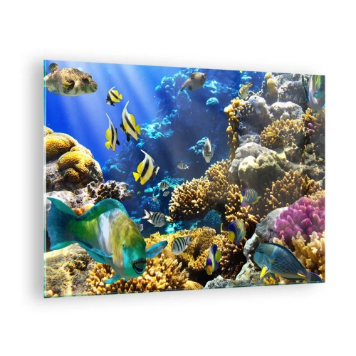 Billede på glas - Koralrev med farverige fisk og undervandslys - 70x50cm - Tung trafik på feriestien - Moderne vægdekoration til stue og soveværelse ARTTOR