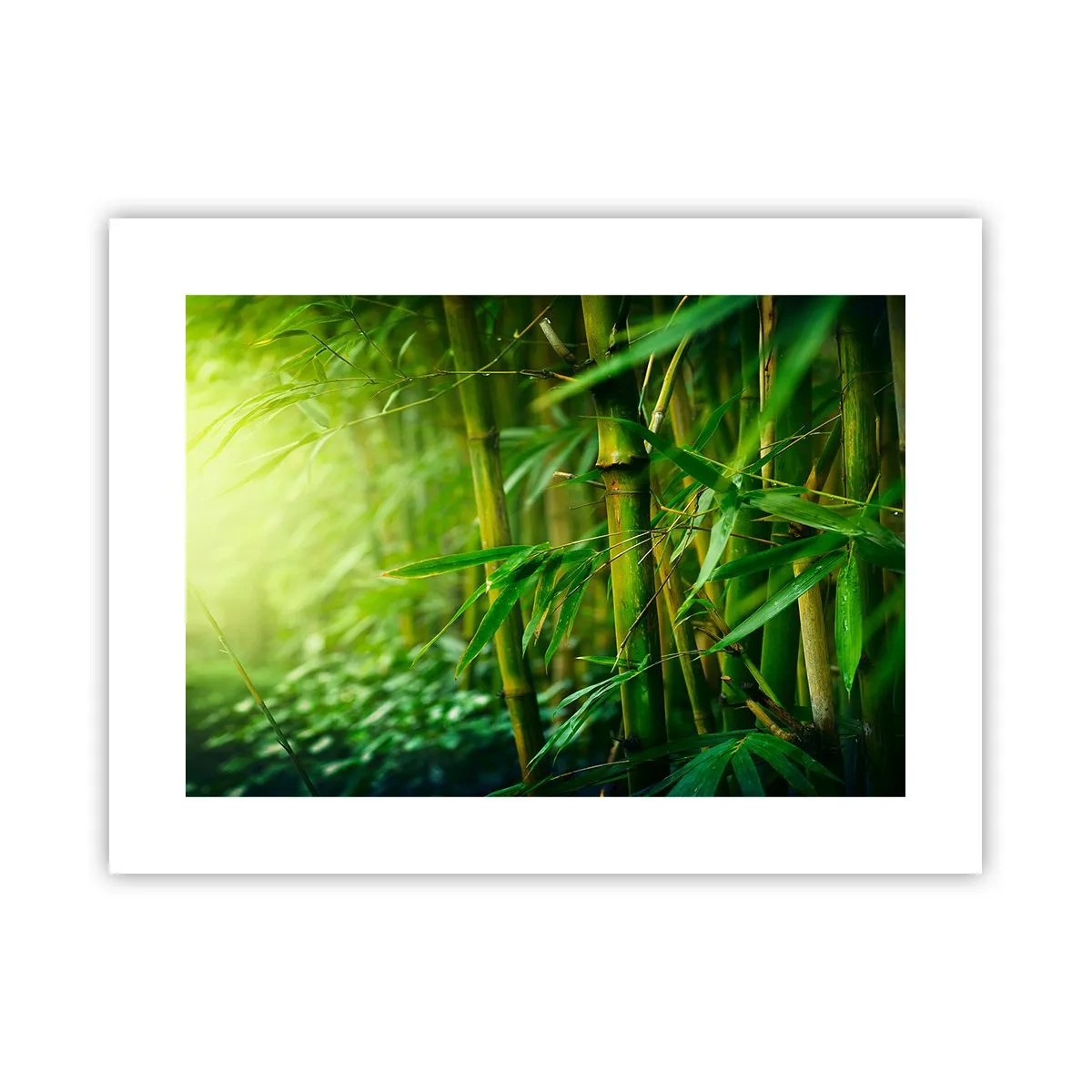 Plakat - Lær selve det grønne at kende - 40x30 cm