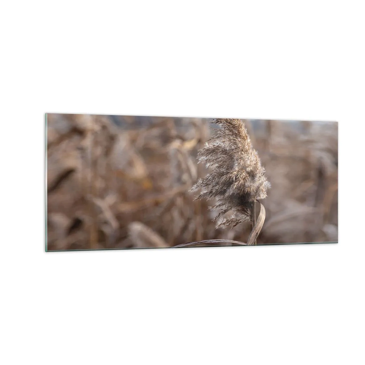 Billede på glas - Tid til at flyve væk med vinden - 100x40 cm