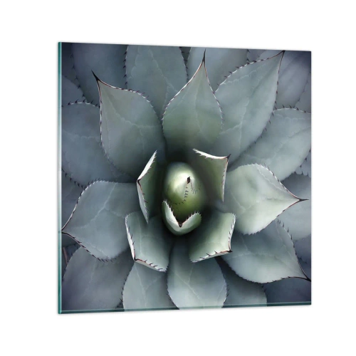 Billede på glas - Lokkemad og advarsler - 40x40 cm