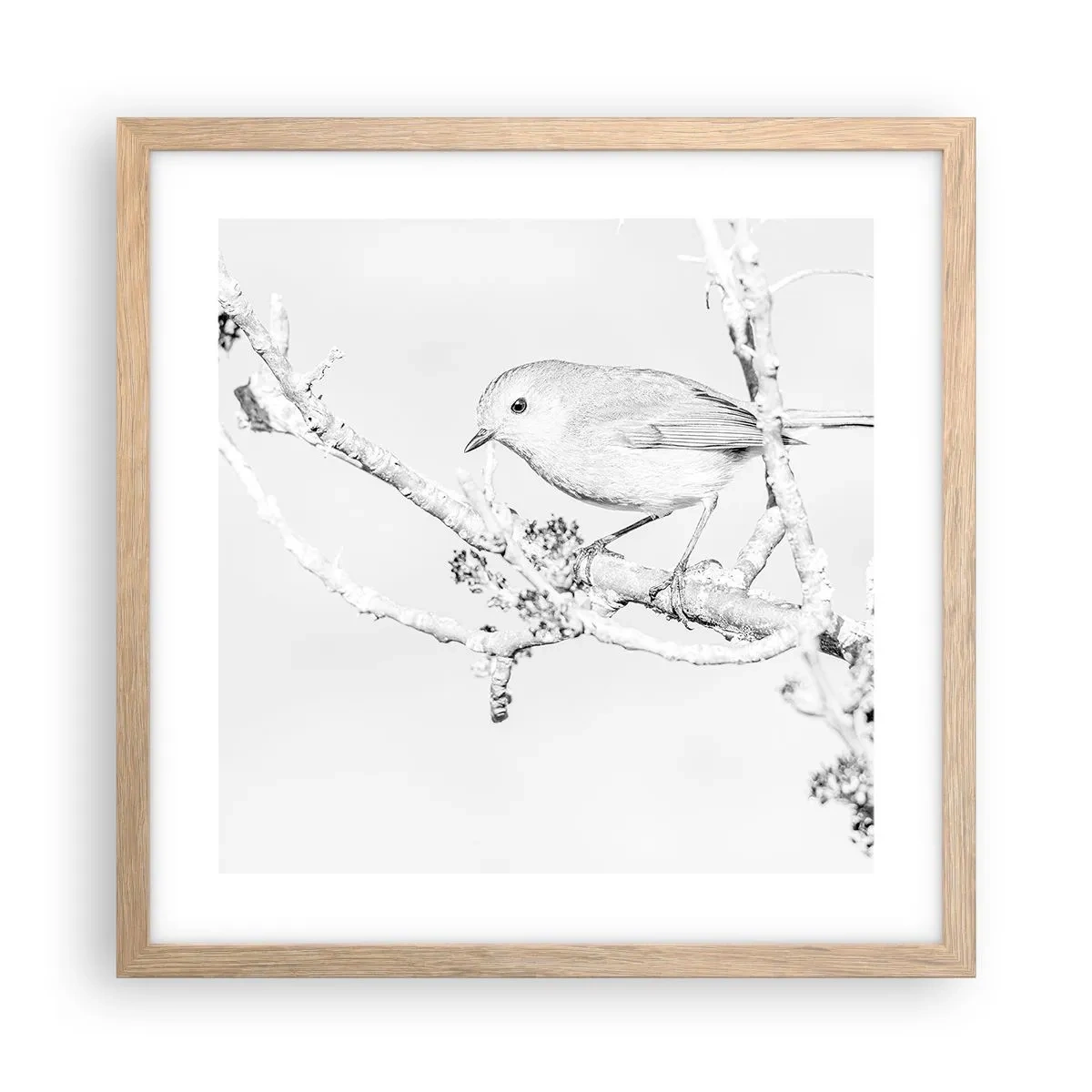 Plakat i ramme af lyst egetræ - Vintermorgen - 40x40 cm