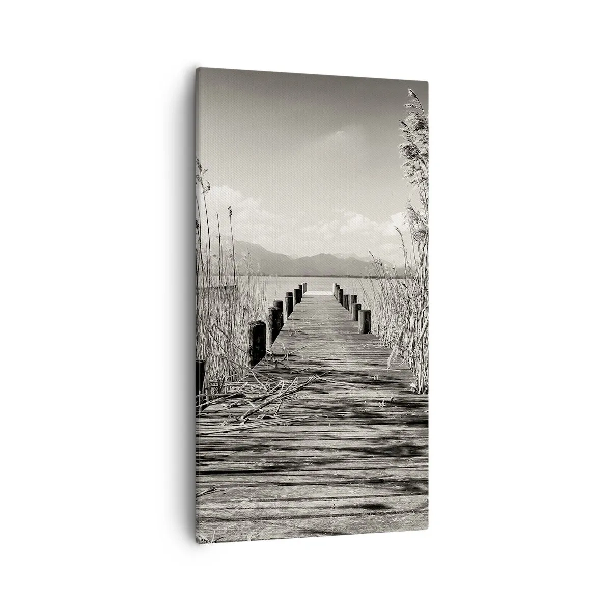 Lærredstryk - Billede på lærred - I græssernes fred - 55x100 cm