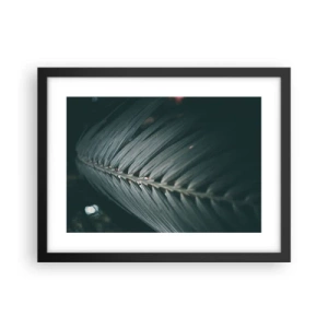 Plakat i sort ramme - Naturens præcision - 40x30 cm