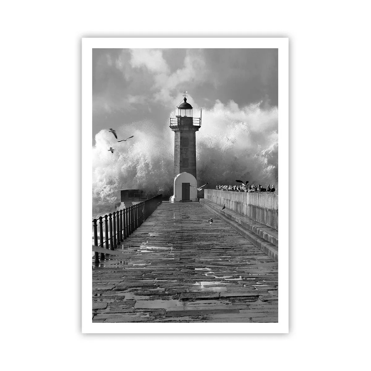 Plakat - Frygtløs  - 70x100 cm