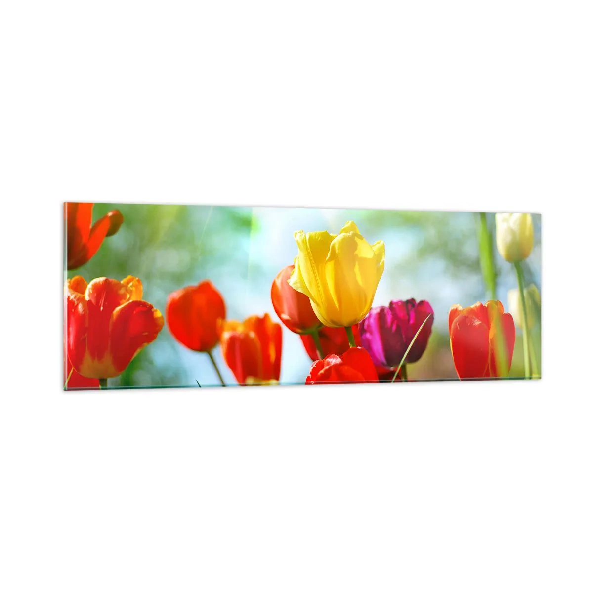 Billede på glas - Alle solens farver - 90x30 cm