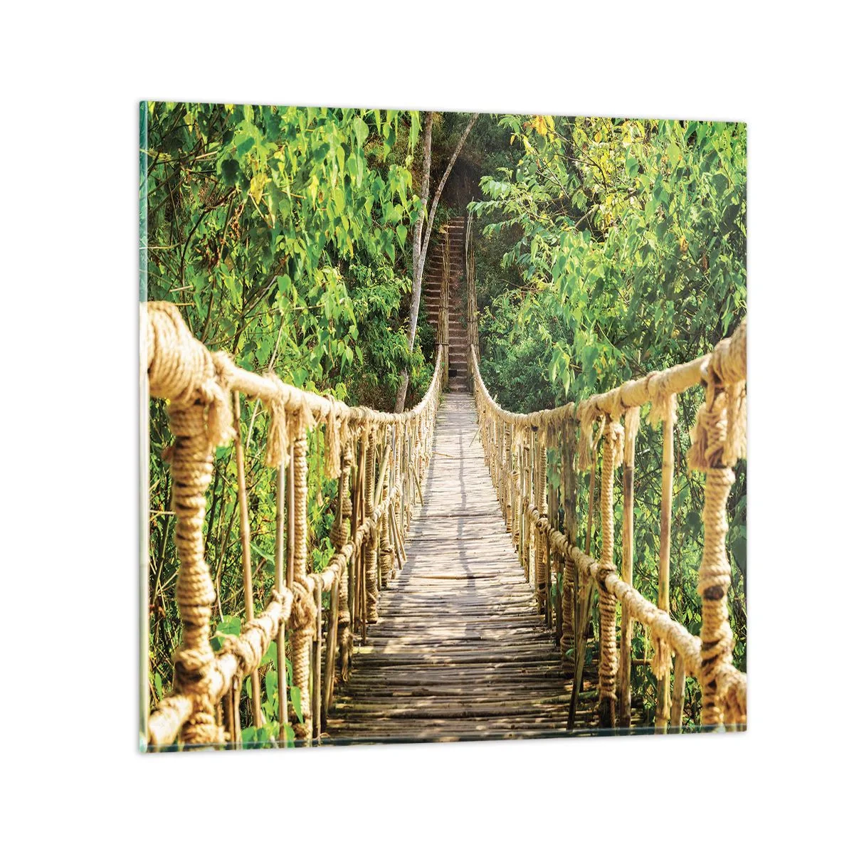 Billede på glas - Ophængt i grønt - 60x60 cm