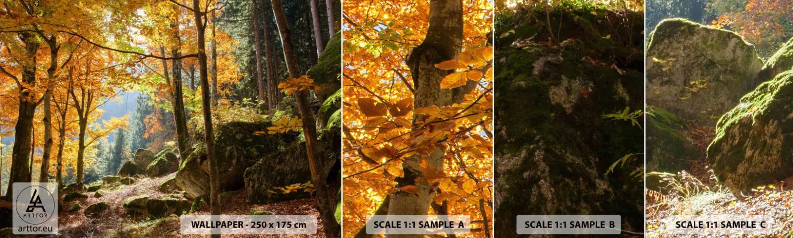 Fototapet Prøve Standard Eco - Tid til at slappe af - Landskab, Skov, Natur - 100x30 cm