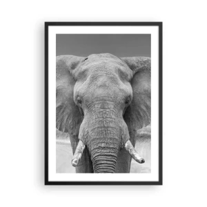 Plakat i sort ramme - Elefant i sort-hvid kunstfotografi - 50x70cm - Velkommen til min verden - Moderne vægdekoration til stue og soveværelse ARTTOR