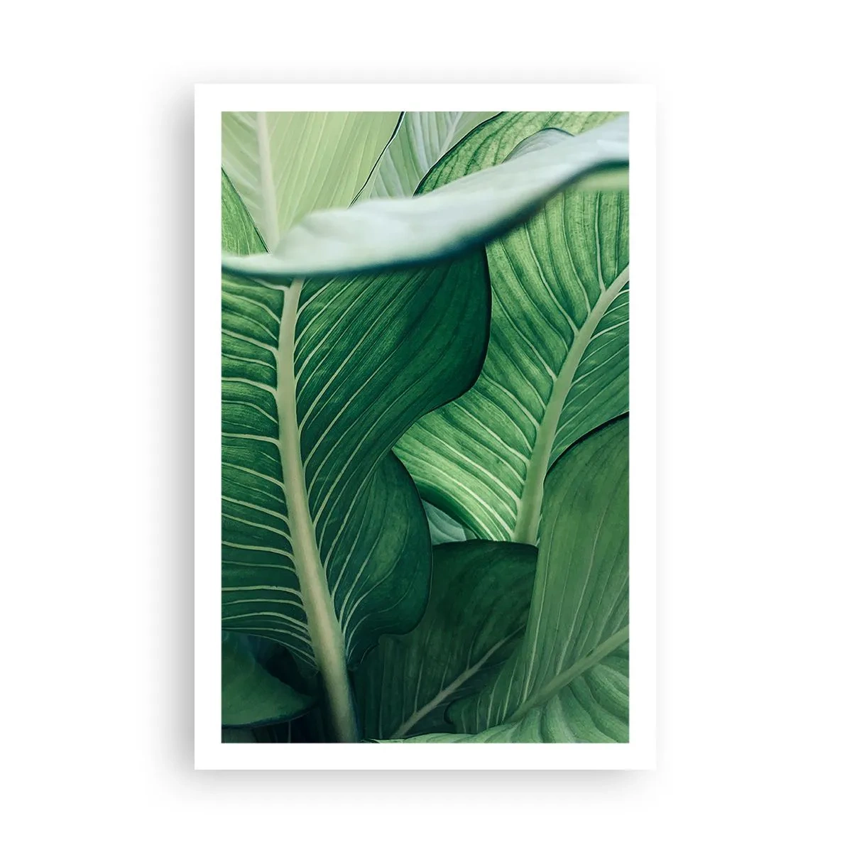 Plakat - Livet er intenst grønt - 61x91 cm