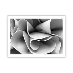 Plakat - Hvad der sker i rummet - 70x50 cm