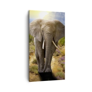 Lærredstryk - Billede på lærred - Sådan så Eden ud - 45x80 cm