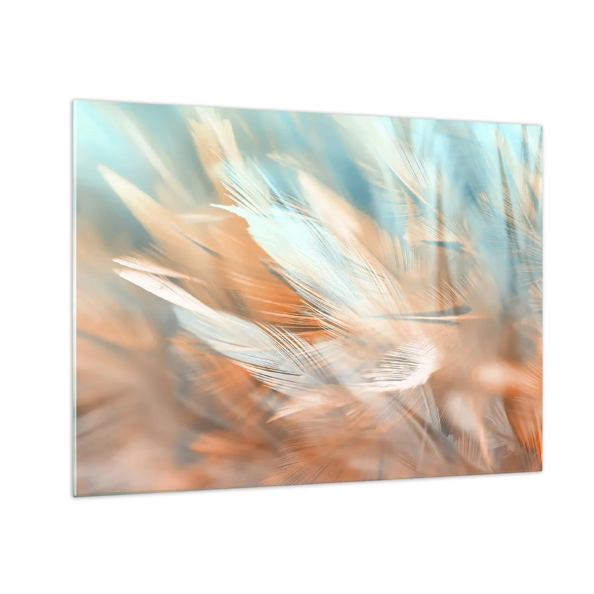 Billede på glas - Delikate fjer i pastelfarver af turkis og fersken - 70x50cm - I mildhedens land - Moderne vægdekoration til stue og soveværelse ARTTOR