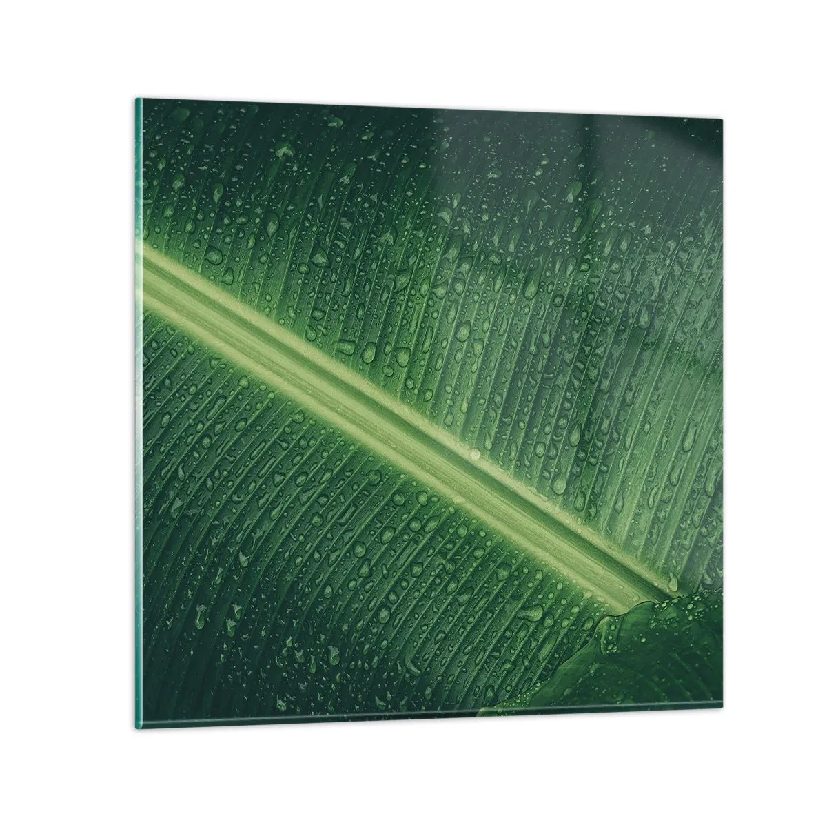 Billede på glas - Grøn struktur - 40x40 cm