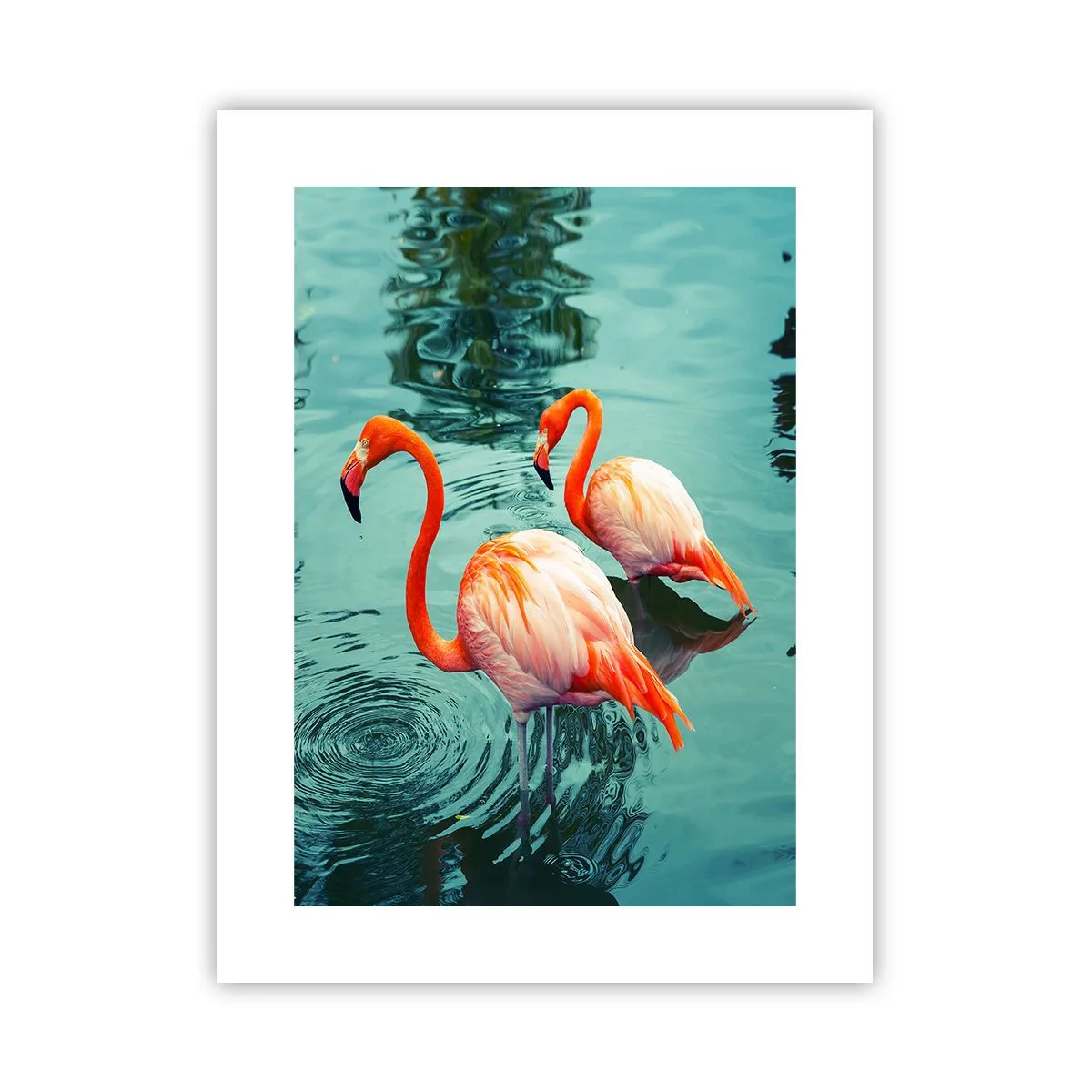 Plakat - Vi er nu på mode - 30x40 cm