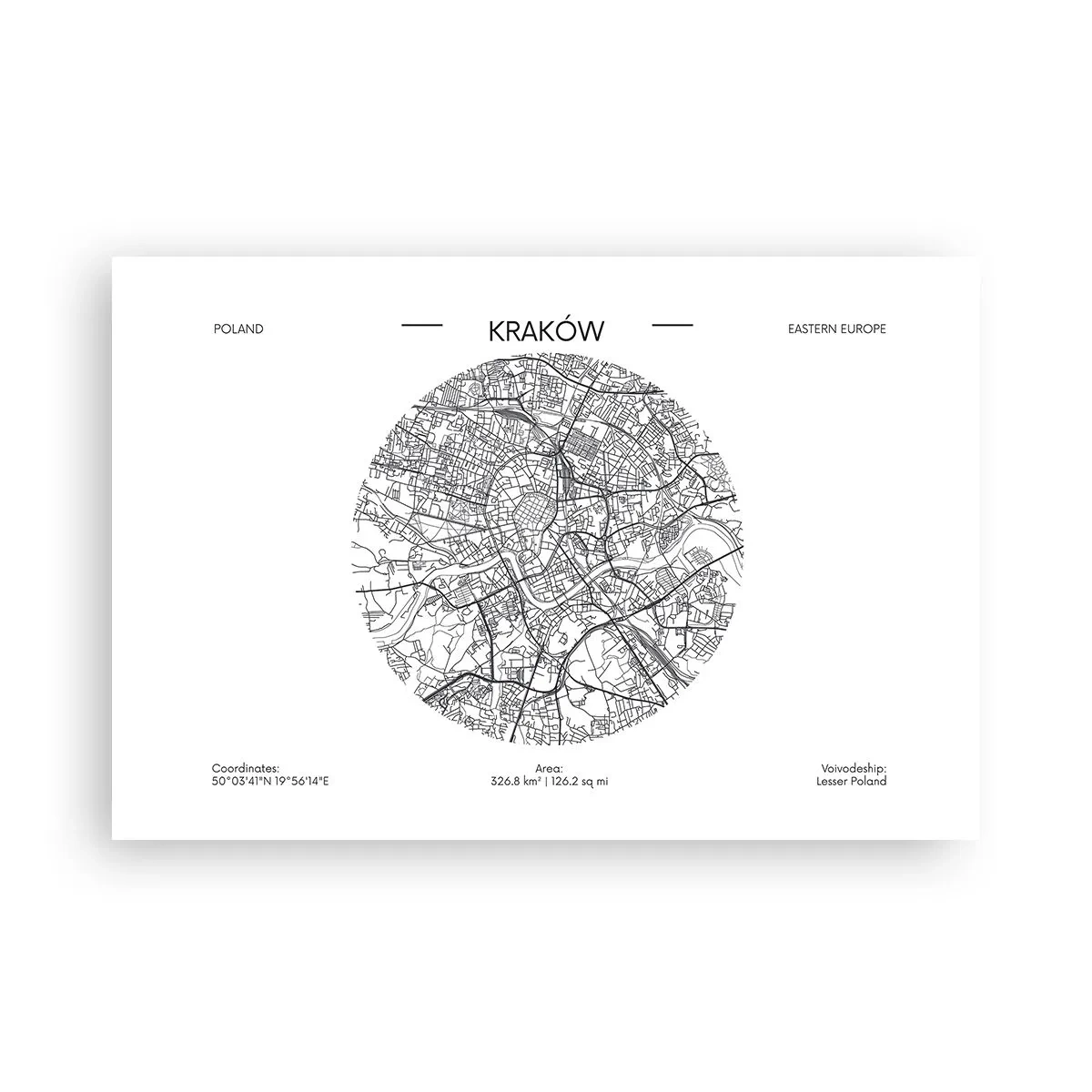 Plakat - Krakows anatomi - 91x61 cm