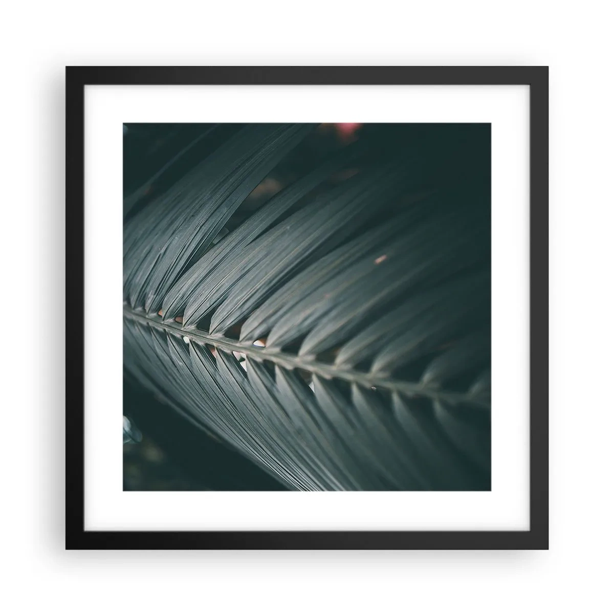 Plakat i sort ramme - Naturens præcision - 40x40 cm