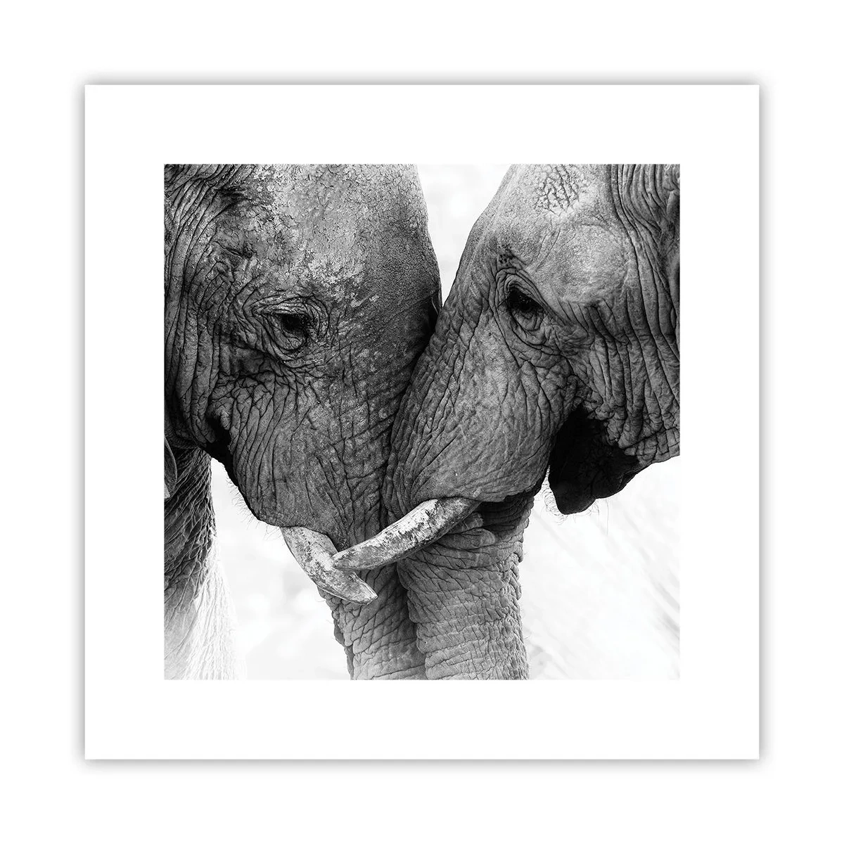 Plakat - Hjertelig tilståelse - 30x30 cm