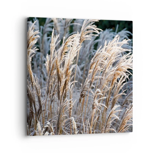 Lærredstryk - Billede på lærred - Pyntet med frost - 30x30 cm