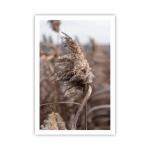 Plakat - Tid til at flyve væk med vinden - 61x91 cm