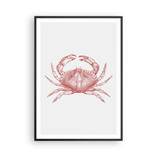 Plakat i sort ramme - Krabbe over krabber - 70x100 cm