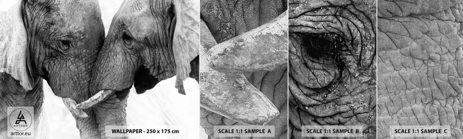 Prøve Fototapet Premium Canvas - Hjertelig tilståelse - Elefant, Dyr, Afrika - 100x30 cm