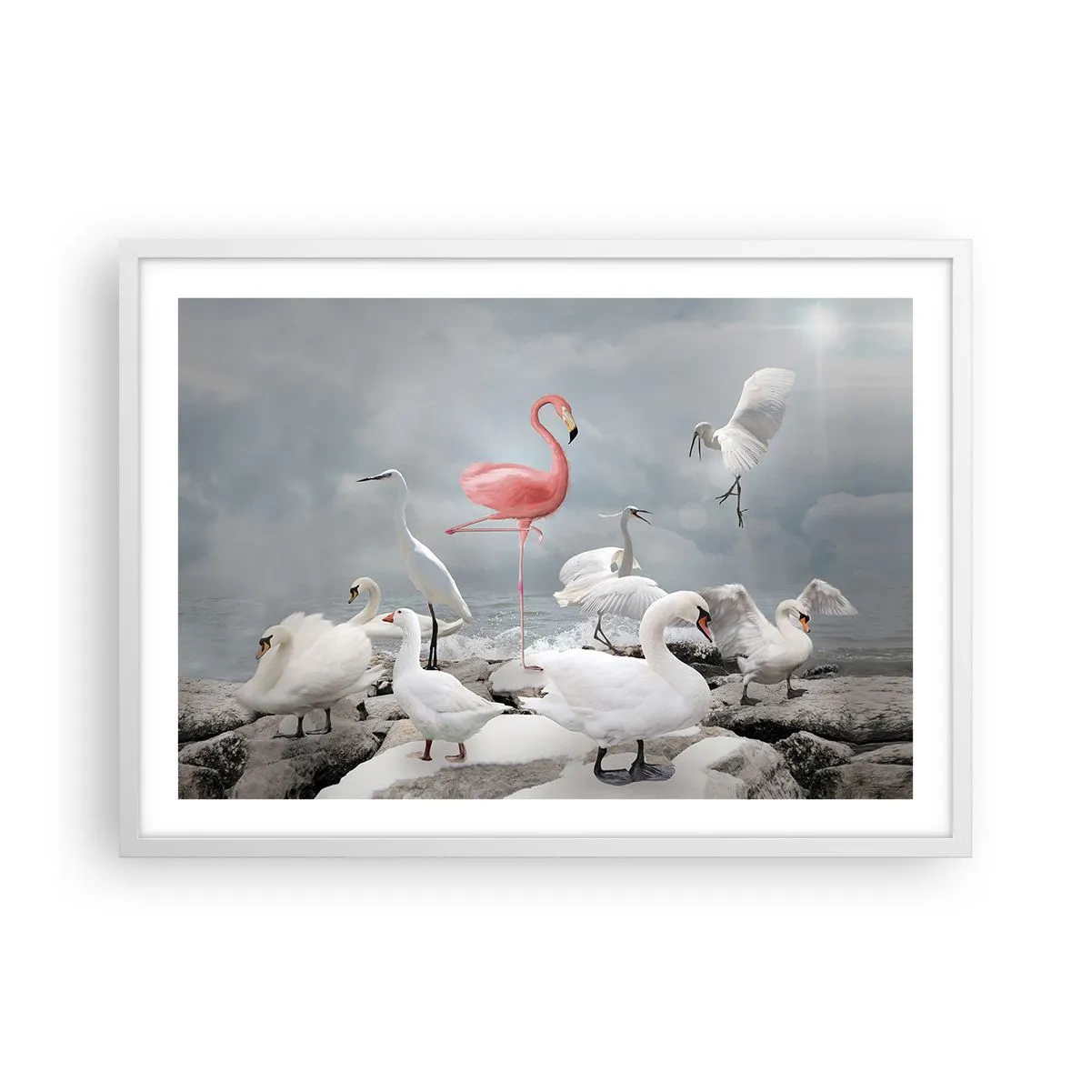 Plakat i hvid ramme - Hvor kommer jeg fra? - 70x50 cm