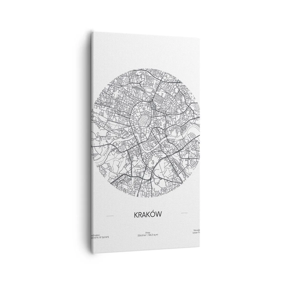 Lærredstryk - Billede på lærred - Krakows anatomi - 55x100 cm