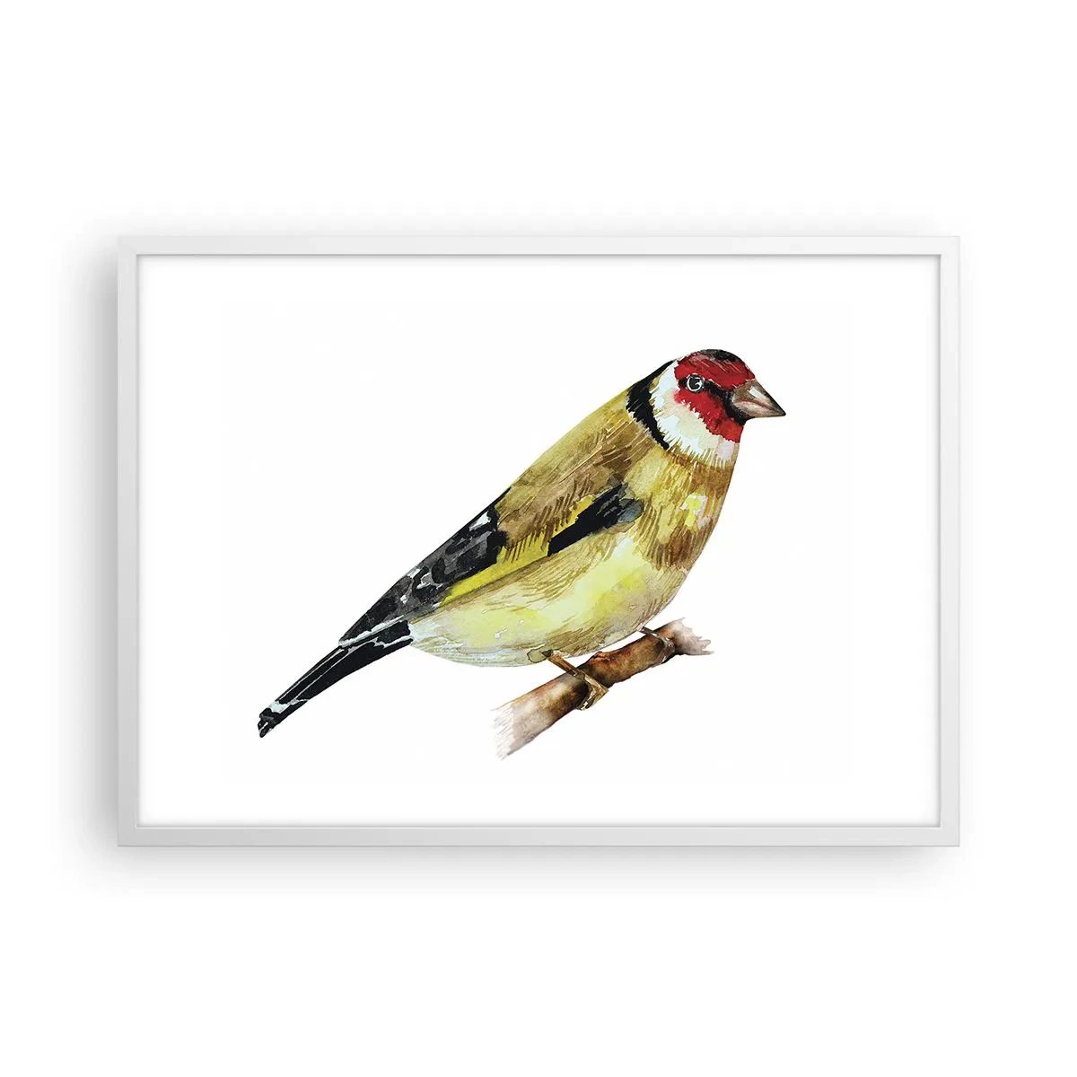 Plakat i hvid ramme - Portræt af en fugl - 70x50 cm